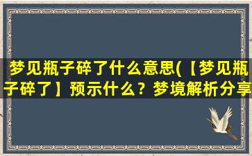 梦见瓶子碎了什么意思(【梦见瓶子碎了】预示什么？梦境解析分享！)