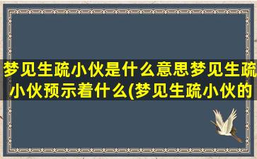 梦见生疏小伙是什么意思梦见生疏小伙预示着什么(梦见生疏小伙的意思及预示，解析梦境中的生疏小伙说明了什么？)