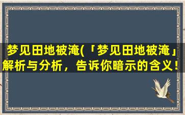 梦见田地被淹(「梦见田地被淹」解析与分析，告诉你暗示的含义！)