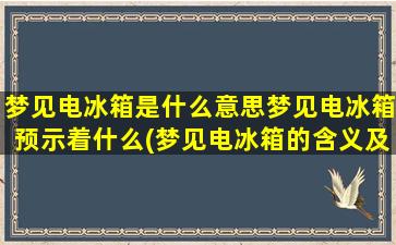 梦见电冰箱是什么意思梦见电冰箱预示着什么(梦见电冰箱的含义及预示，告诉你梦见电冰箱到底意味着什么)