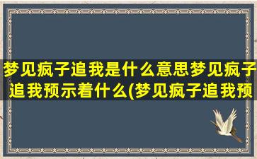 梦见疯子追我是什么意思梦见疯子追我预示着什么(梦见疯子追我预示着什么？解析和分析)