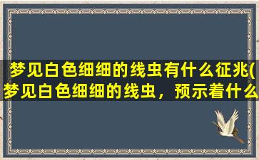 梦见白色细细的线虫有什么征兆(梦见白色细细的线虫，预示着什么？)