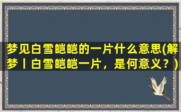 梦见白雪皑皑的一片什么意思(解梦丨白雪皑皑一片，是何意义？)