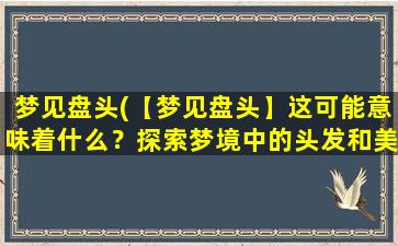 梦见盘头(【梦见盘头】这可能意味着什么？探索梦境中的头发和美丽之谜)