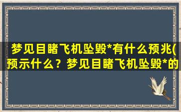 梦见目睹飞机坠毁*有什么预兆(预示什么？梦见目睹飞机坠毁*的解析！)