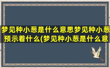 梦见种小葱是什么意思梦见种小葱预示着什么(梦见种小葱是什么意思？预示着什么？)