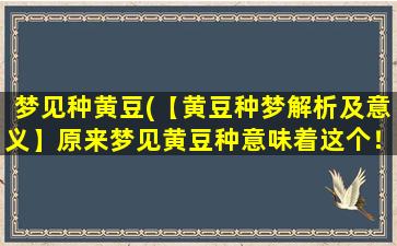 梦见种黄豆(【黄豆种梦解析及意义】原来梦见黄豆种意味着这个！)