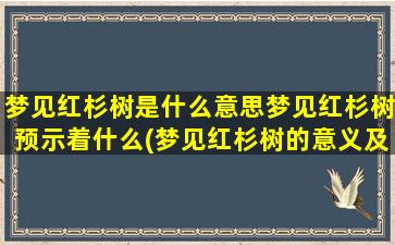 梦见红杉树是什么意思梦见红杉树预示着什么(梦见红杉树的意义及预示，让你不得不知道！)