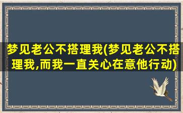 梦见老公不搭理我(梦见老公不搭理我,而我一直关心在意他行动)