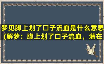 梦见脚上划了口子流血是什么意思(解梦：脚上划了口子流血，潜在含义大揭秘！)