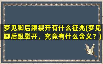 梦见脚后跟裂开有什么征兆(梦见脚后跟裂开，究竟有什么含义？)