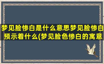 梦见脸惨白是什么意思梦见脸惨白预示着什么(梦见脸色惨白的寓意和预示)