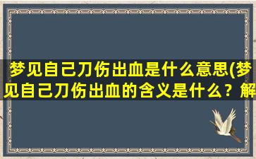 梦见自己刀伤出血是什么意思(梦见自己刀伤出血的含义是什么？解梦大全告诉你！)