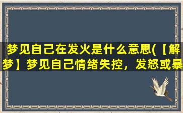 梦见自己在发火是什么意思(【解梦】梦见自己情绪失控，发怒或暴怒的原因及含义)