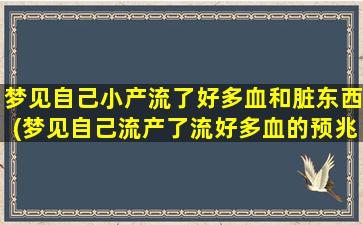 梦见自己小产流了好多血和脏东西(梦见自己流产了流好多血的预兆)