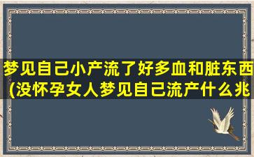 梦见自己小产流了好多血和脏东西(没怀孕女人梦见自己流产什么兆头)