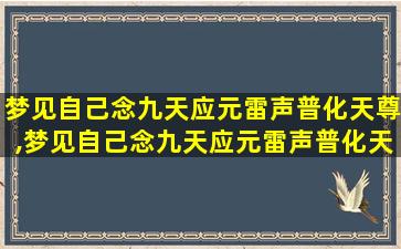 梦见自己念九天应元雷声普化天尊,梦见自己念九天应元雷声普化天尊佛