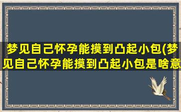 梦见自己怀孕能摸到凸起小包(梦见自己怀孕能摸到凸起小包是啥意思)