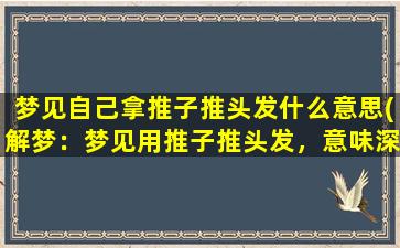 梦见自己拿推子推头发什么意思(解梦：梦见用推子推头发，意味深长！)