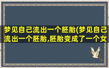 梦见自己流出一个胚胎(梦见自己流出一个胚胎,胚胎变成了一个女孩)