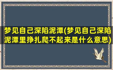 梦见自己深陷泥潭(梦见自己深陷泥潭里挣扎爬不起来是什么意思)