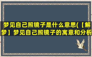 梦见自己照镜子是什么意思(【解梦】梦见自己照镜子的寓意和分析)