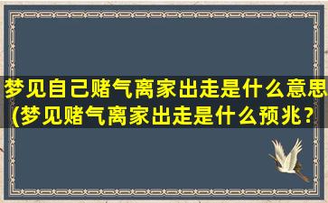 梦见自己赌气离家出走是什么意思(梦见赌气离家出走是什么预兆？解梦专家详解！)