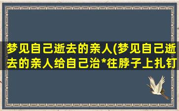 梦见自己逝去的亲人(梦见自己逝去的亲人给自己治*往脖子上扎钉子)