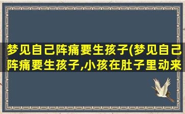 梦见自己阵痛要生孩子(梦见自己阵痛要生孩子,小孩在肚子里动来动去)