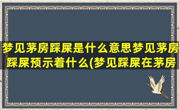 梦见茅房踩屎是什么意思梦见茅房踩屎预示着什么(梦见踩屎在茅房里的含义及预兆)