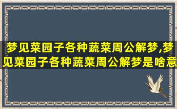 梦见菜园子各种蔬菜周公解梦,梦见菜园子各种蔬菜周公解梦是啥意思