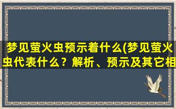 梦见萤火虫预示着什么(梦见萤火虫代表什么？解析、预示及其它相关事项！)