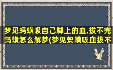 梦见蚂蟥吸自己脚上的血,拔不完蚂蟥怎么解梦(梦见蚂蟥吸血拔不完的解梦分析与心理学解读)