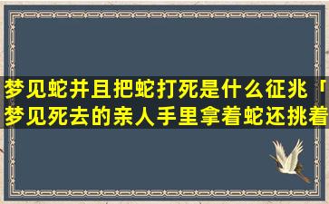 梦见蛇并且把蛇打死是什么征兆「梦见死去的亲人手里拿着蛇还挑着乌龟」