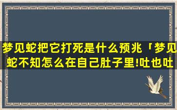 梦见蛇把它打死是什么预兆「梦见蛇不知怎么在自己肚子里!吐也吐不出来!后来吐出一条鱼」