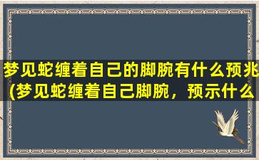 梦见蛇缠着自己的脚腕有什么预兆(梦见蛇缠着自己脚腕，预示什么？解梦大揭秘！)