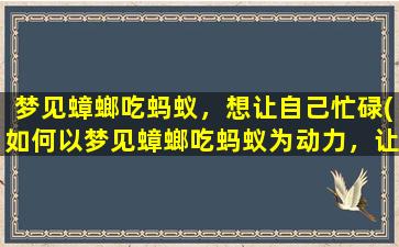 梦见蟑螂吃蚂蚁，想让自己忙碌(如何以梦见蟑螂吃蚂蚁为动力，让自己忙碌起来)