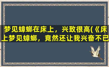 梦见蟑螂在床上，兴致很高(《床上梦见蟑螂，竟然还让我兴奋不已！》)