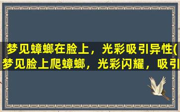 梦见蟑螂在脸上，光彩吸引异性(梦见脸上爬蟑螂，光彩闪耀，吸引异性靠近)