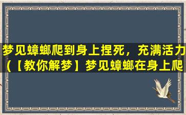 梦见蟑螂爬到身上捏死，充满活力(【教你解梦】梦见蟑螂在身上爬？快捏死它！让你充满活力！)