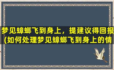 梦见蟑螂飞到身上，提建议得回报(如何处理梦见蟑螂飞到身上的情况，获取有价值的建议并获得回报)