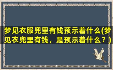 梦见衣服兜里有钱预示着什么(梦见衣兜里有钱，是预示着什么？)