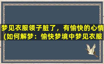 梦见衣服领子脏了，有愉快的心情(如何解梦：愉快梦境中梦见衣服领子脏了应如何理解？)