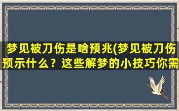 梦见被刀伤是啥预兆(梦见被刀伤预示什么？这些解梦的小技巧你需要知道！)