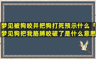 梦见被狗咬并把狗打死预示什么「梦见狗把我胳膊咬破了是什么意思」