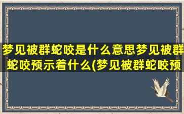 梦见被群蛇咬是什么意思梦见被群蛇咬预示着什么(梦见被群蛇咬预示着什么？解梦指南教你如何分析梦境)