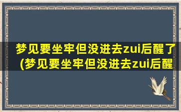 梦见要坐牢但没进去zui后醒了(梦见要坐牢但没进去zui后醒了梦见尿血出来了肠子)