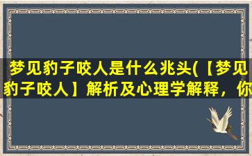 梦见豹子咬人是什么兆头(【梦见豹子咬人】解析及心理学解释，你是否受到什么困扰？)