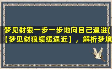 梦见豺狼一步一步地向自己逼进(【梦见豺狼缓缓逼近】，解析梦境中的吉凶大吉。)