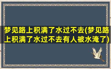 梦见路上积满了水过不去(梦见路上积满了水过不去有人被水淹了)